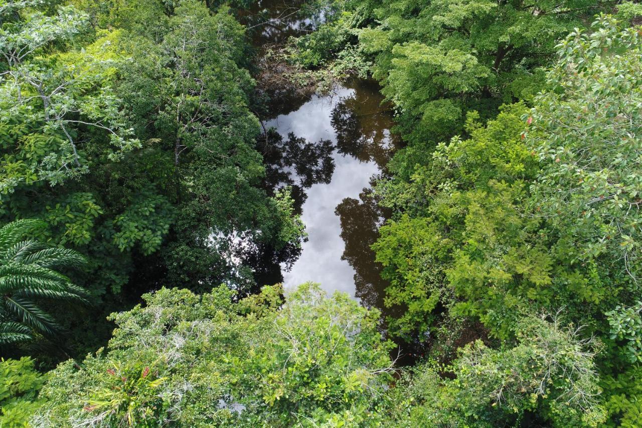 Hope Garden, Sarapiqui, We Connect You With The Sarapiqui Tropical Forest Extérieur photo