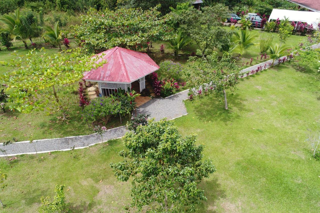 Hope Garden, Sarapiqui, We Connect You With The Sarapiqui Tropical Forest Extérieur photo