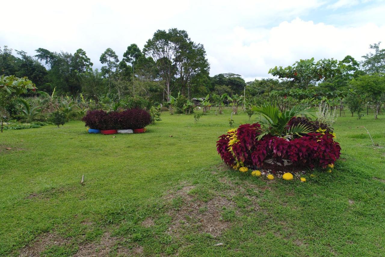 Hope Garden, Sarapiqui, We Connect You With The Sarapiqui Tropical Forest Extérieur photo
