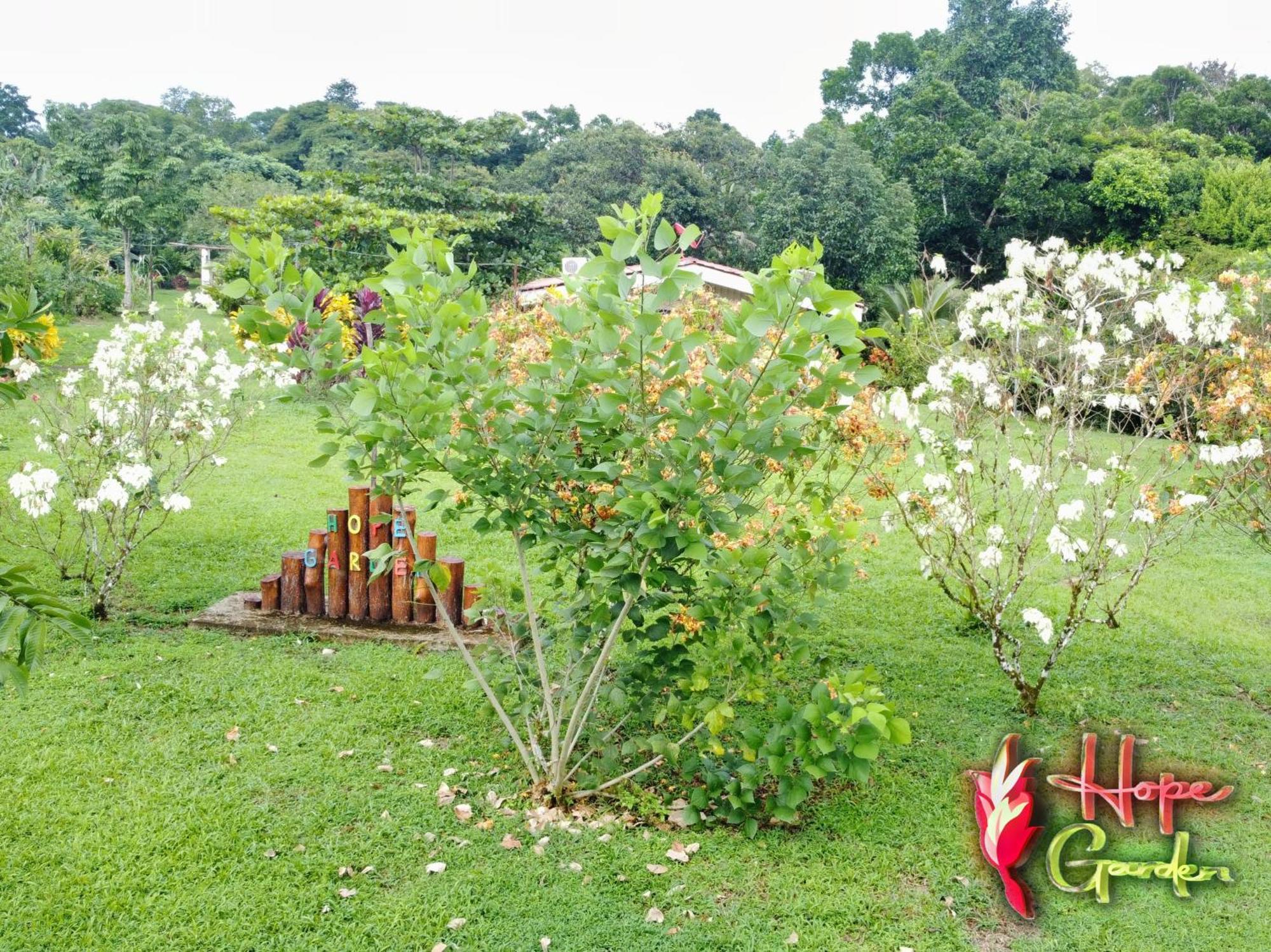Hope Garden, Sarapiqui, We Connect You With The Sarapiqui Tropical Forest Extérieur photo