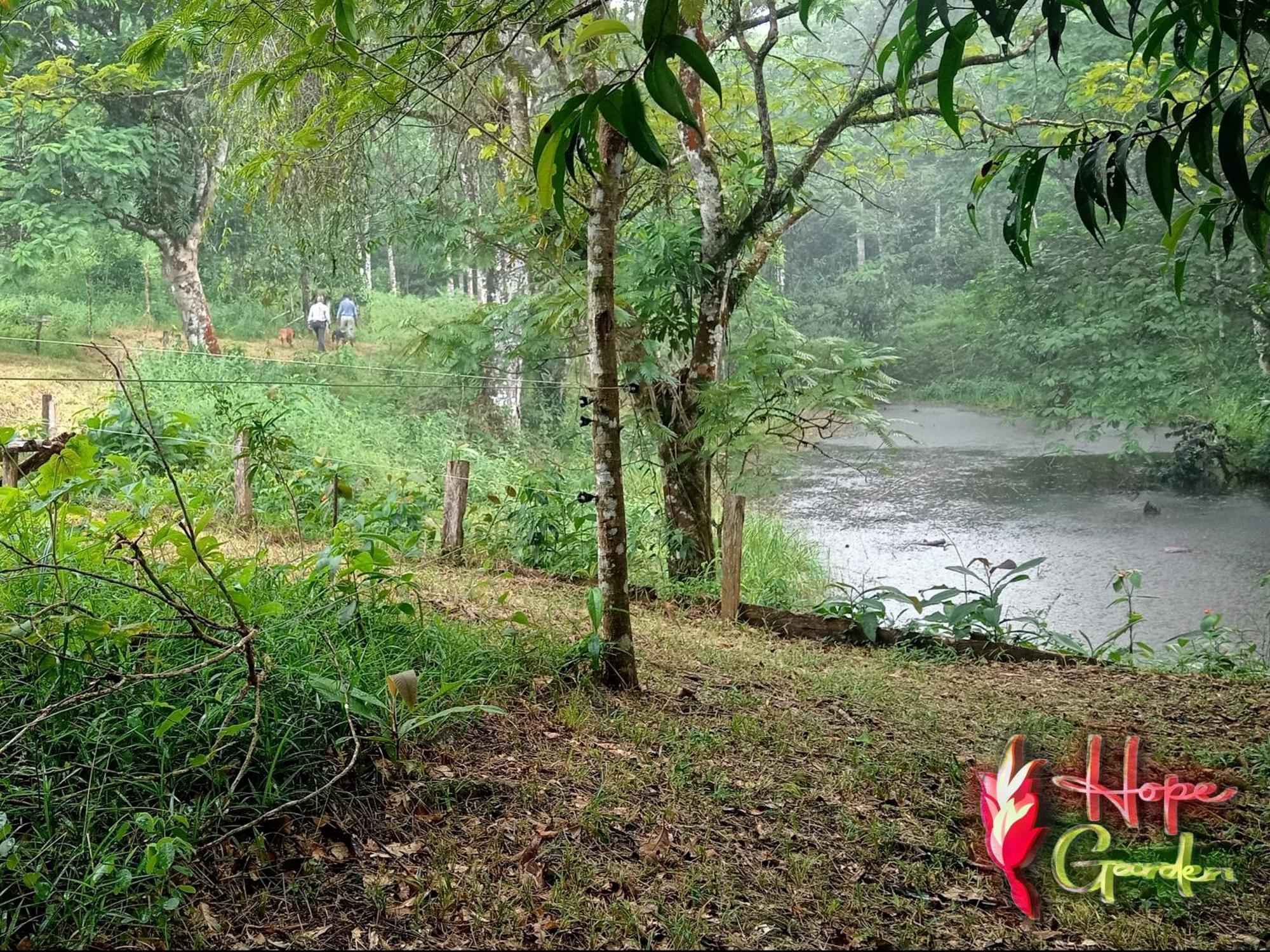 Hope Garden, Sarapiqui, We Connect You With The Sarapiqui Tropical Forest Extérieur photo