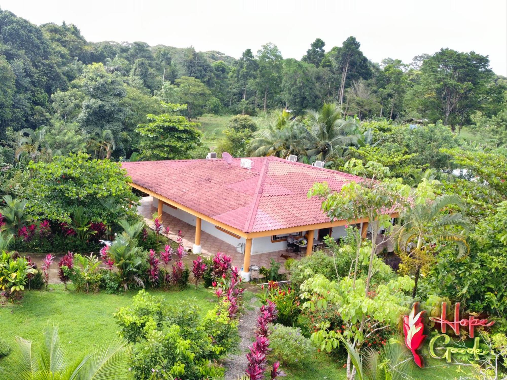 Hope Garden, Sarapiqui, We Connect You With The Sarapiqui Tropical Forest Extérieur photo