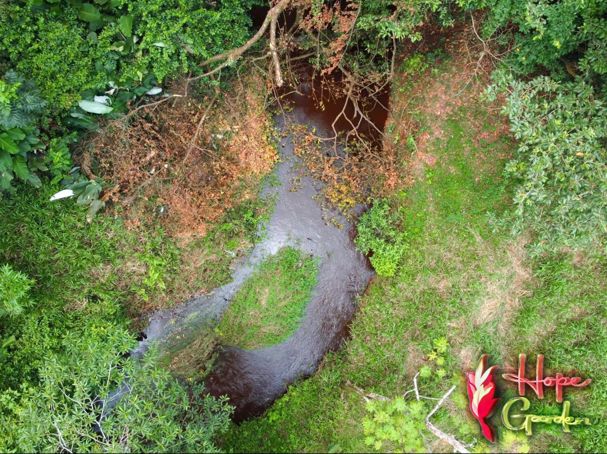 Hope Garden, Sarapiqui, We Connect You With The Sarapiqui Tropical Forest Extérieur photo