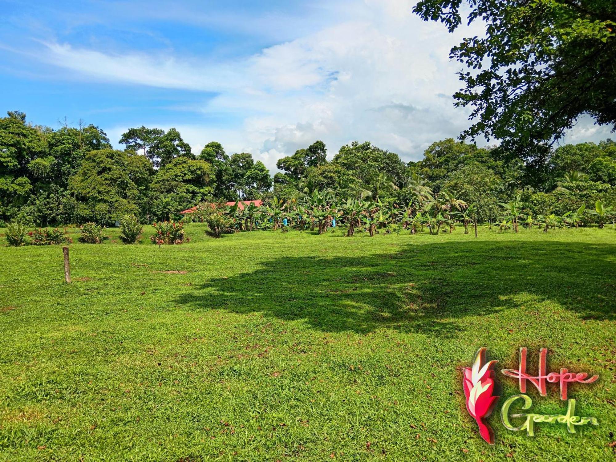 Hope Garden, Sarapiqui, We Connect You With The Sarapiqui Tropical Forest Extérieur photo